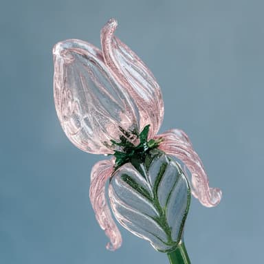 Pink Glass Rose